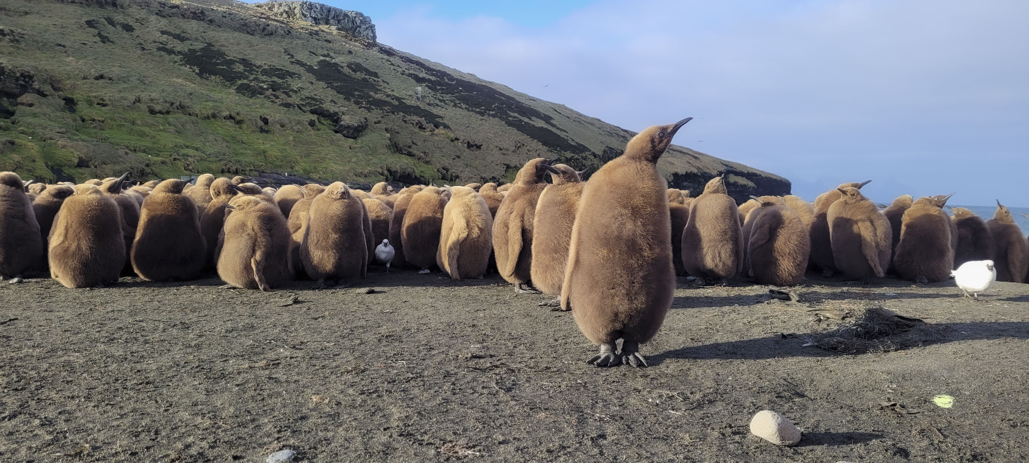 GYT 20220701 145845 20220701 145845